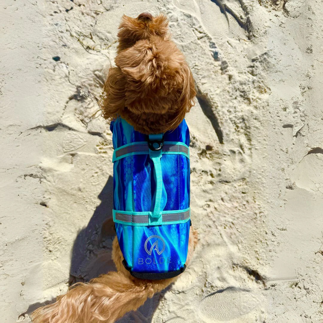 Dog Life Jacket - Image 3